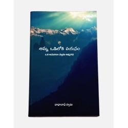 Amma Odiloki Payanam - The Journey Home – Telugu